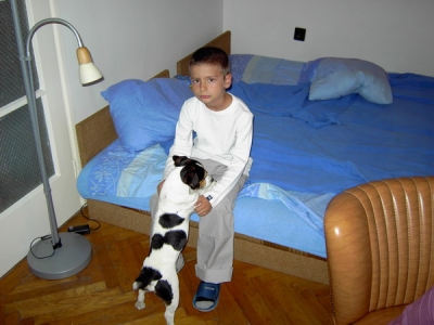 Klikni za sliku u punoj veliini